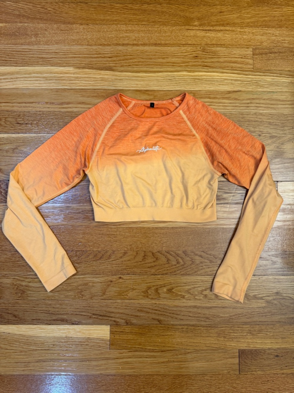 Alphalete Ombre Cropped Seamless Long Sleeve in Orange - Size Small